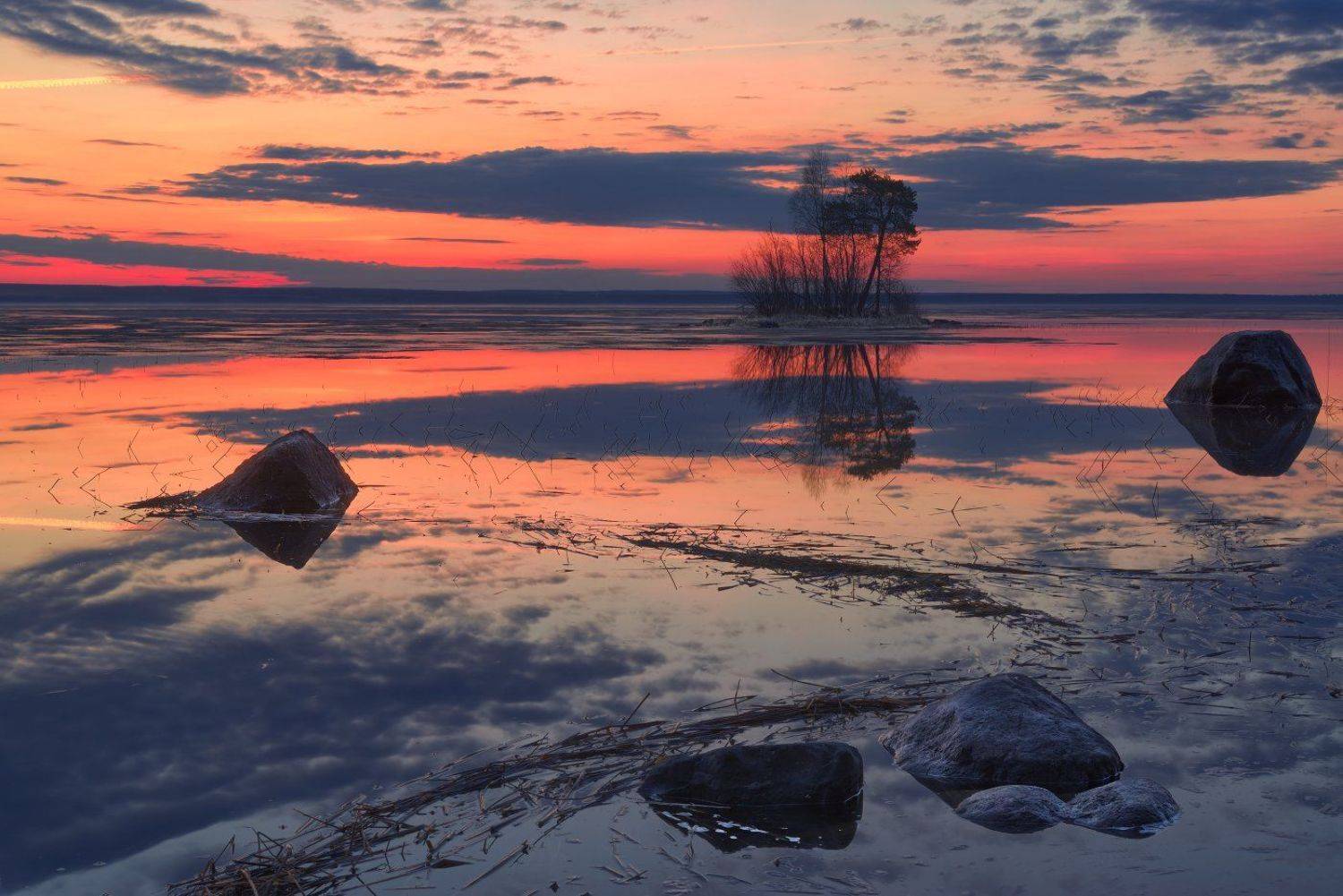 , Максим Евдокимов ( www.wildphotorus.ru )