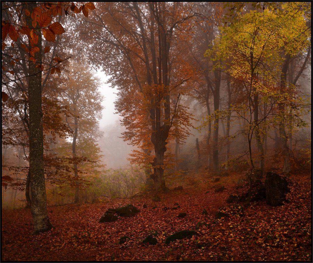 , Владимир Метцгер