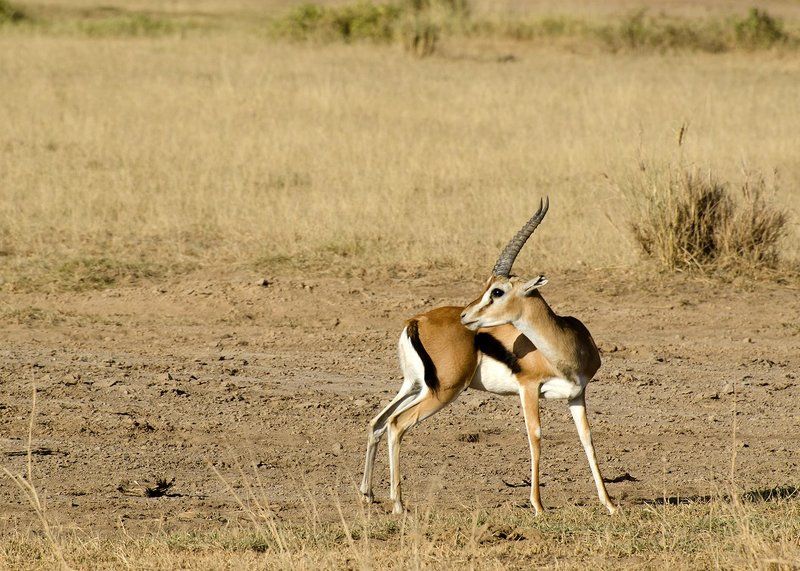 Опасность миновала... фото превью