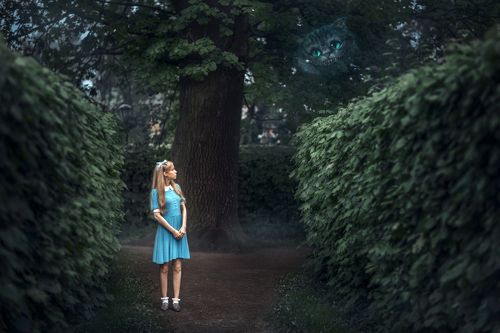 Чеширский кот