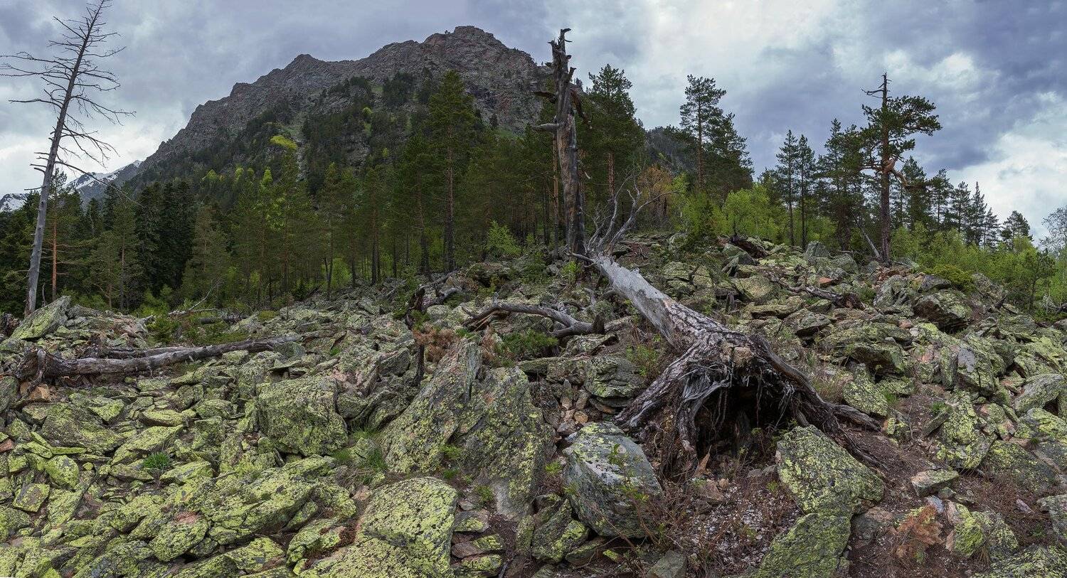 бадукские озера, кчр, лес, ручей, теберда, речка ,ручей, Коркин Вадим