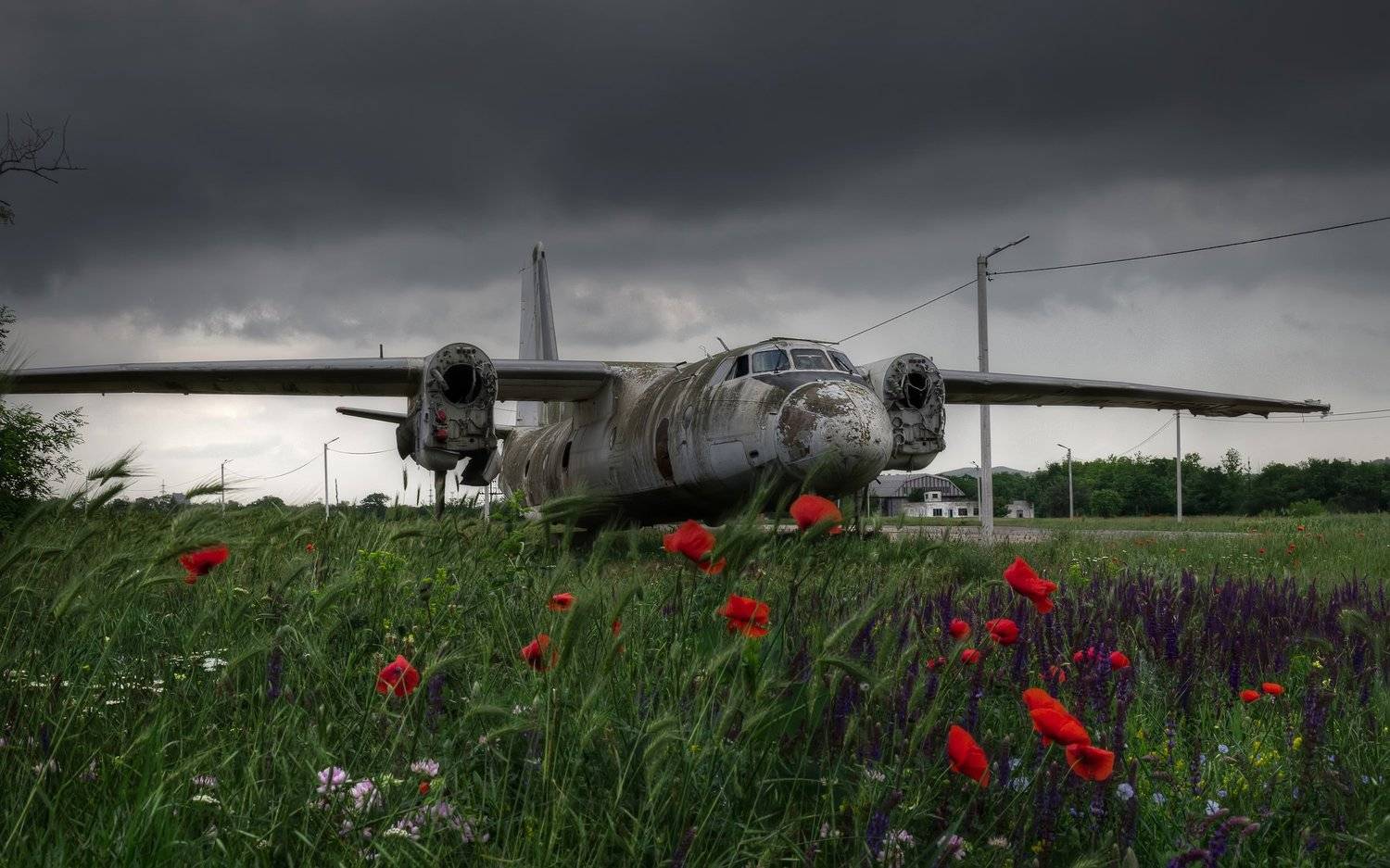 , Анатолий Щербак