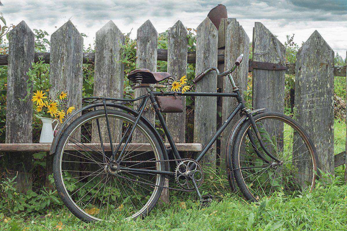 , Наталья Бочкарева