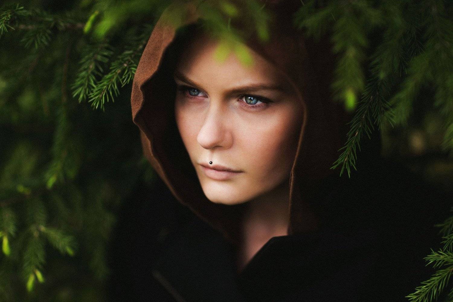 , Виталий Гуляев