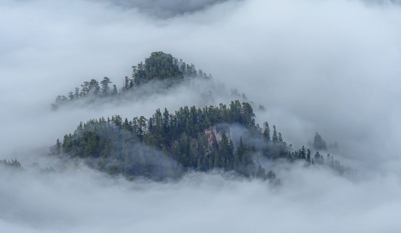 ОДНАЖДЫ МАЙСКИМ ДНЕМ фото превью