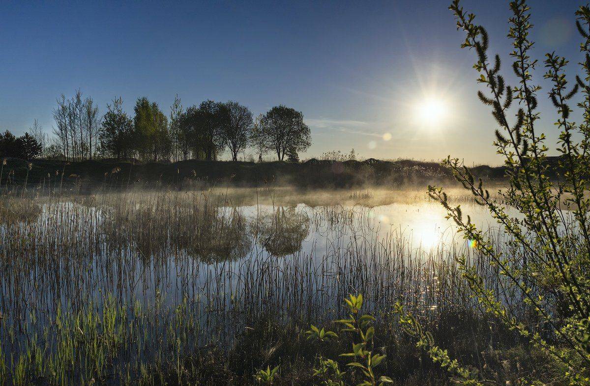 весна, рассвет, утро, пруд, Майя Афзаал