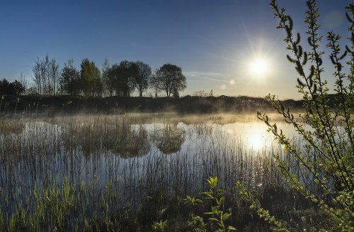 утренний прудик