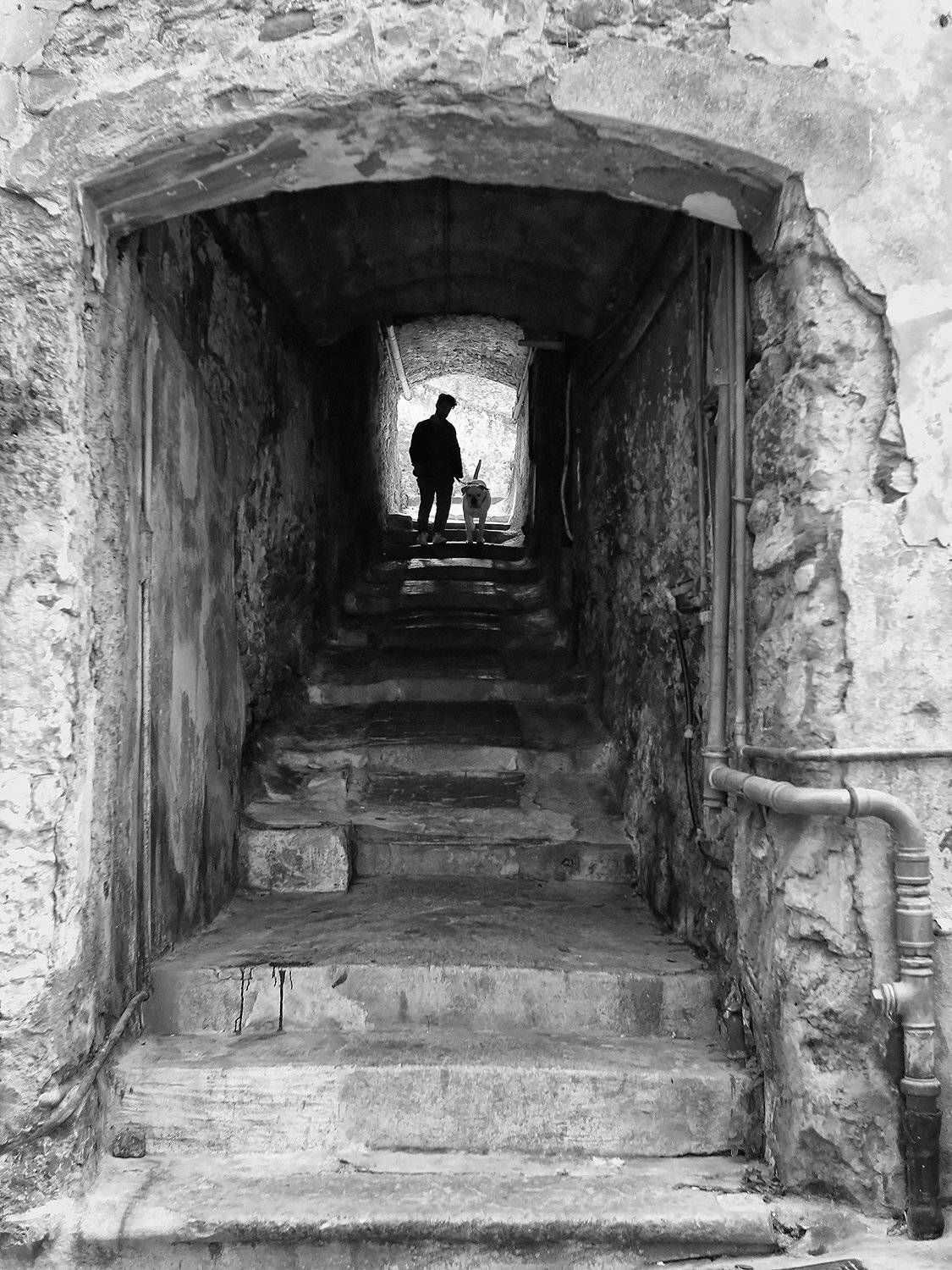 Лестница, Силует, Собака, Тоннель, Трубы, ALLA SOKOLOVA