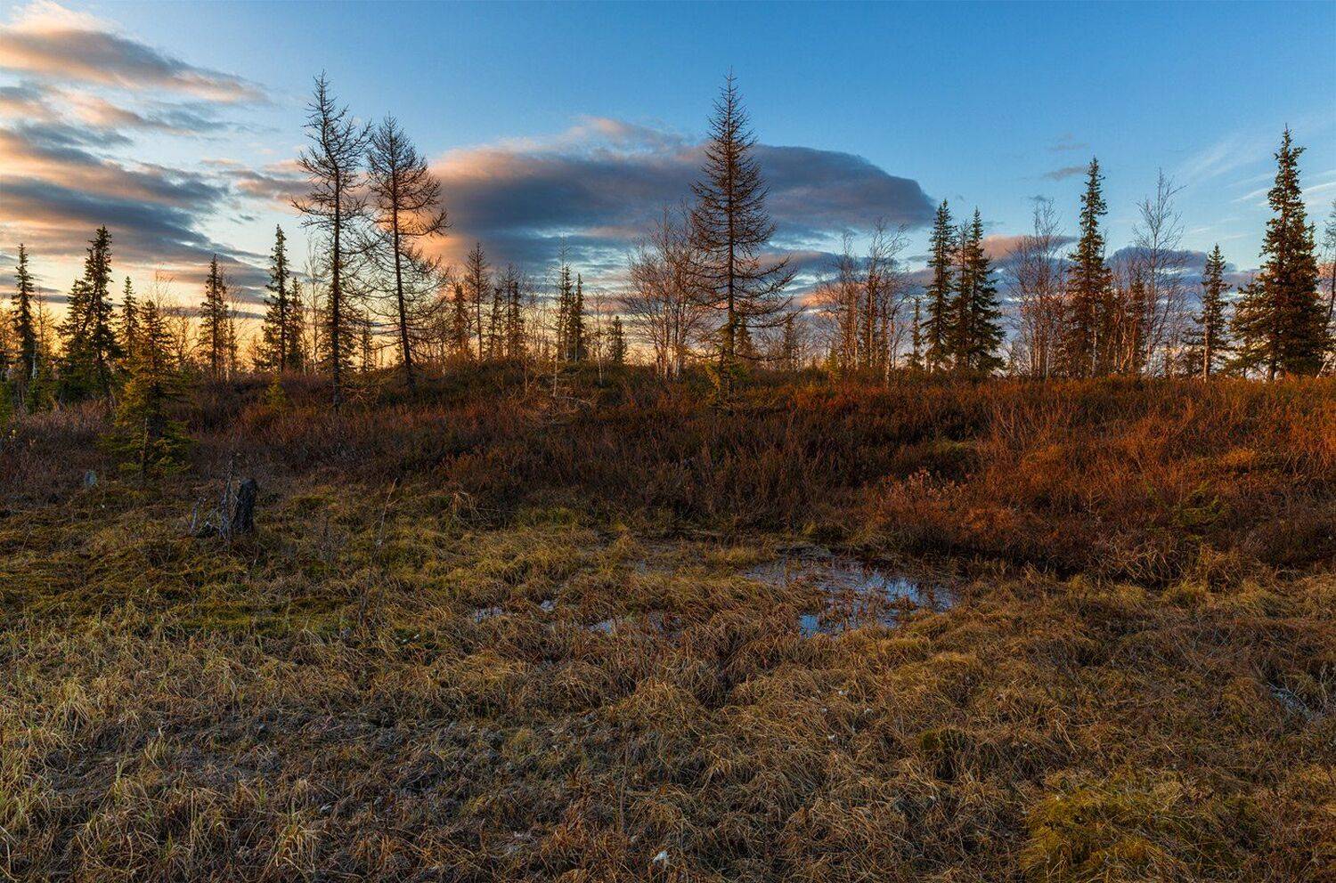Canon, Canon 5d mark iii, Весна, Закат, Север, Сибирь, Тундра, Ямал, Евгений Кужилев