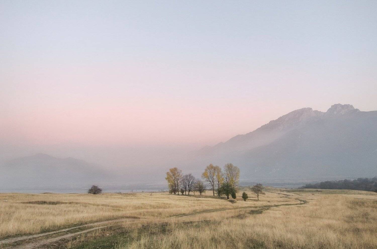 , Сергей Лукашенко