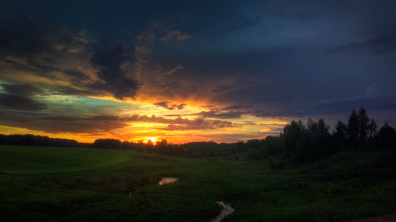 Road to home фото превью