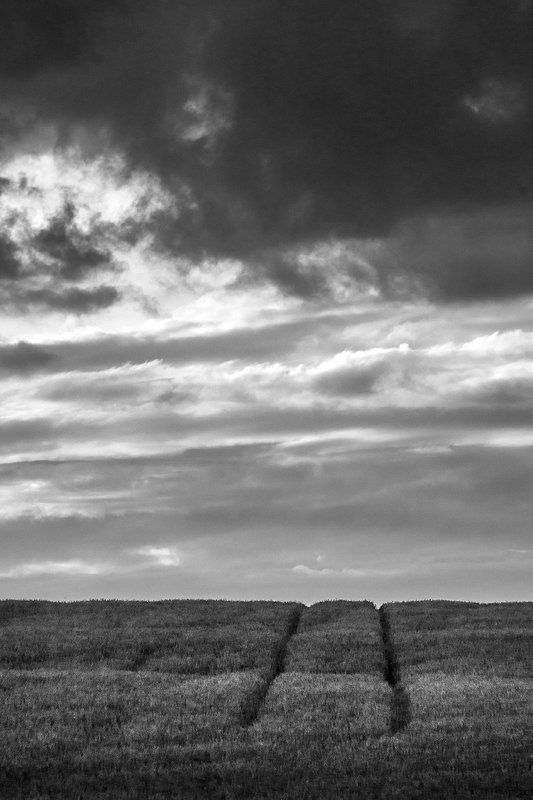 Поле фото превью