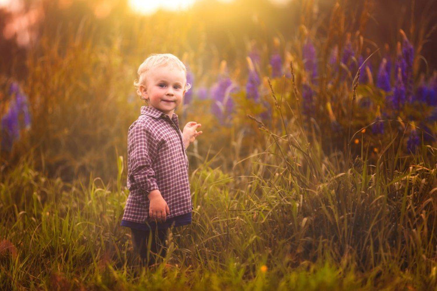 child, children, portrait, boy, nature, grass, meadow, flowers, sun, Milosz_G
