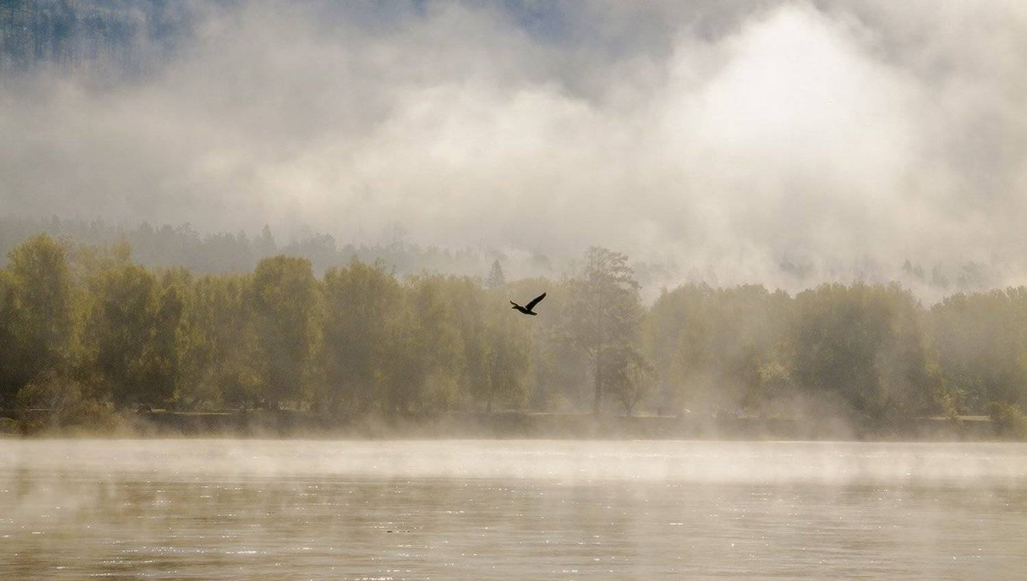 , Николай Морский