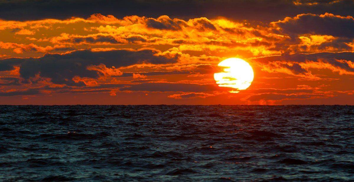 , Владимир Сковородников