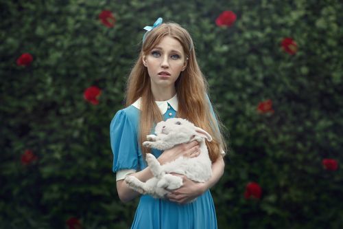 Розовый сад