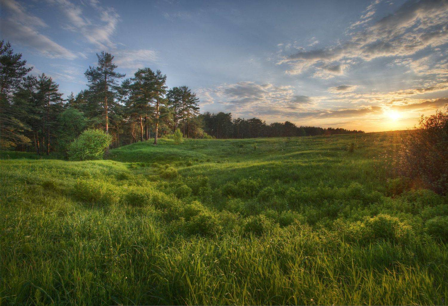 , Бурцев Дмитрий
