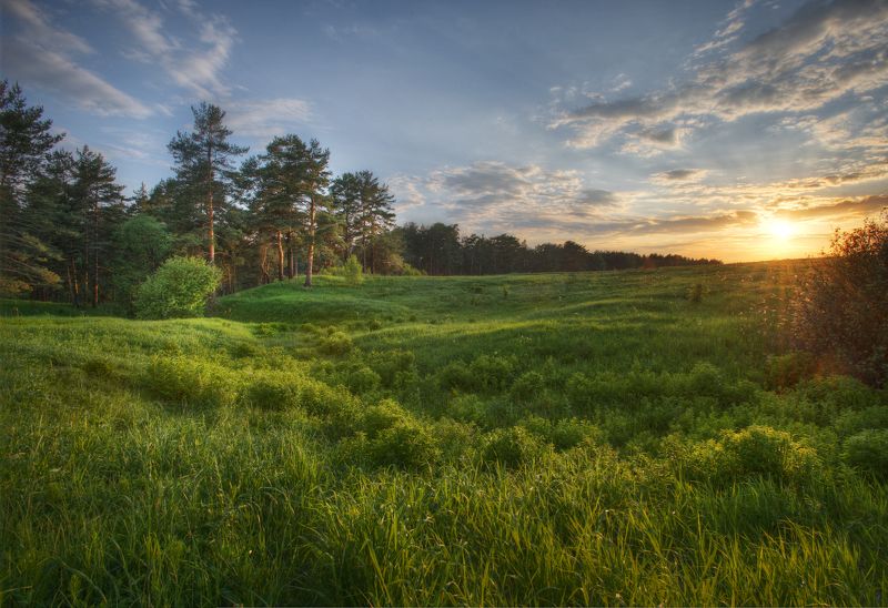 Захаркино фото превью