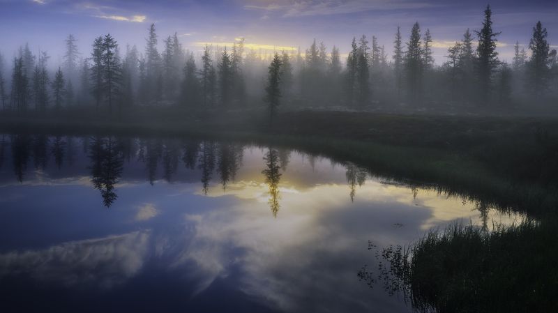 ямал, тундра, рассвет, туман, лес, отражение, canon, пейзаж Таёжное утро фото превью