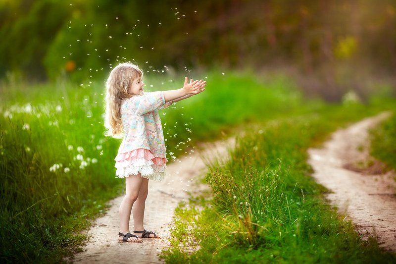 на дороге фото превью