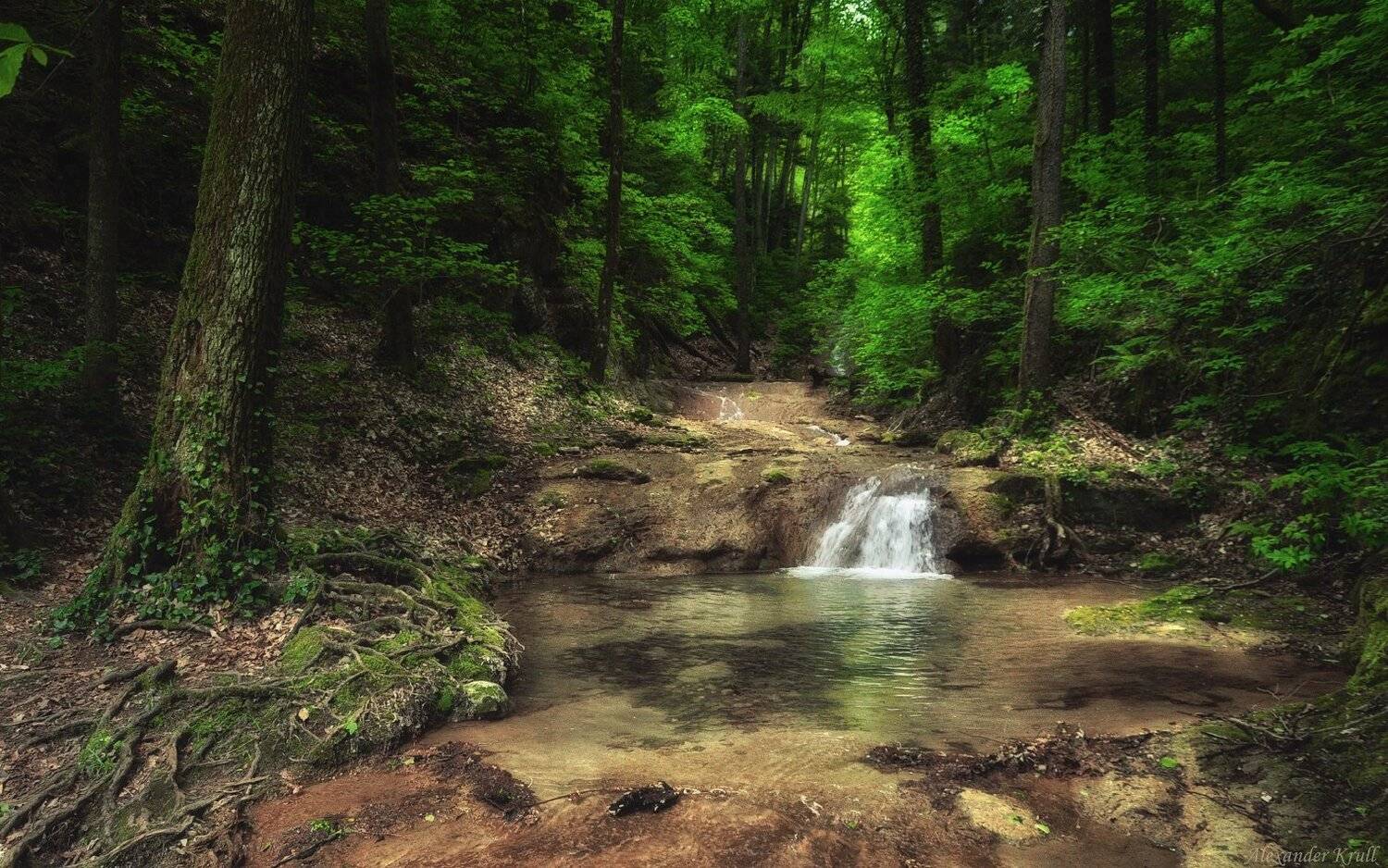 , Александр Круль