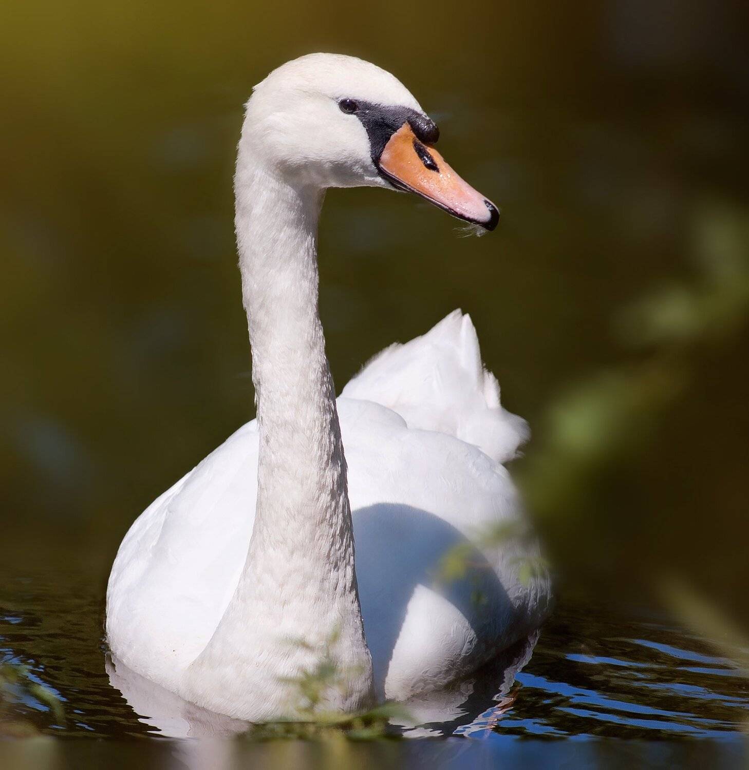 , Олег Богданов