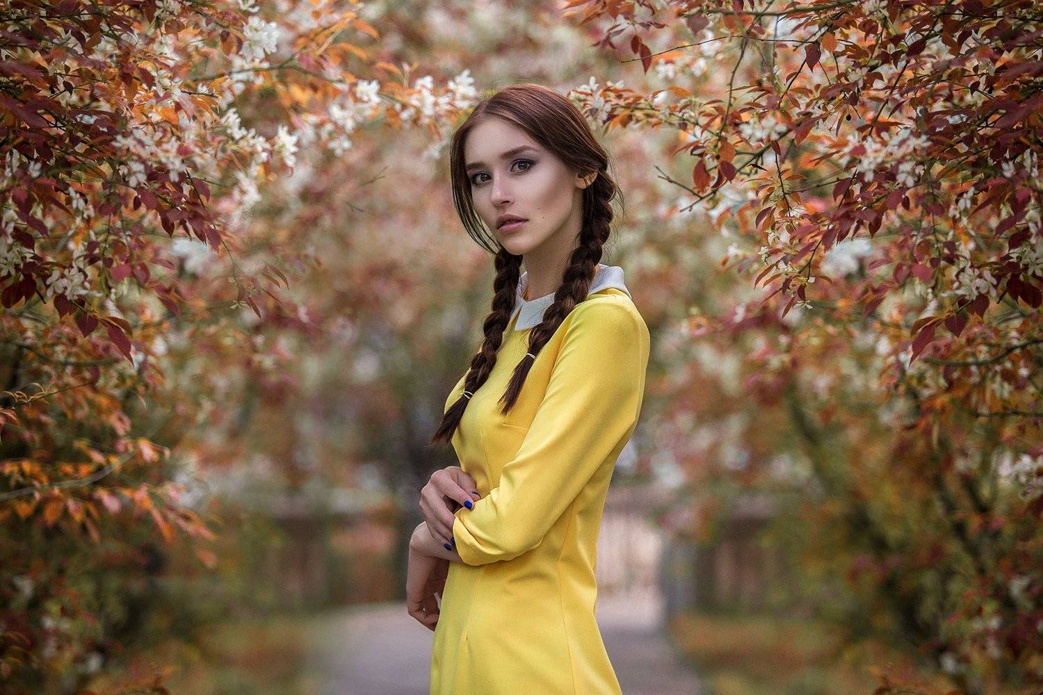 , Наумов Дмитрий