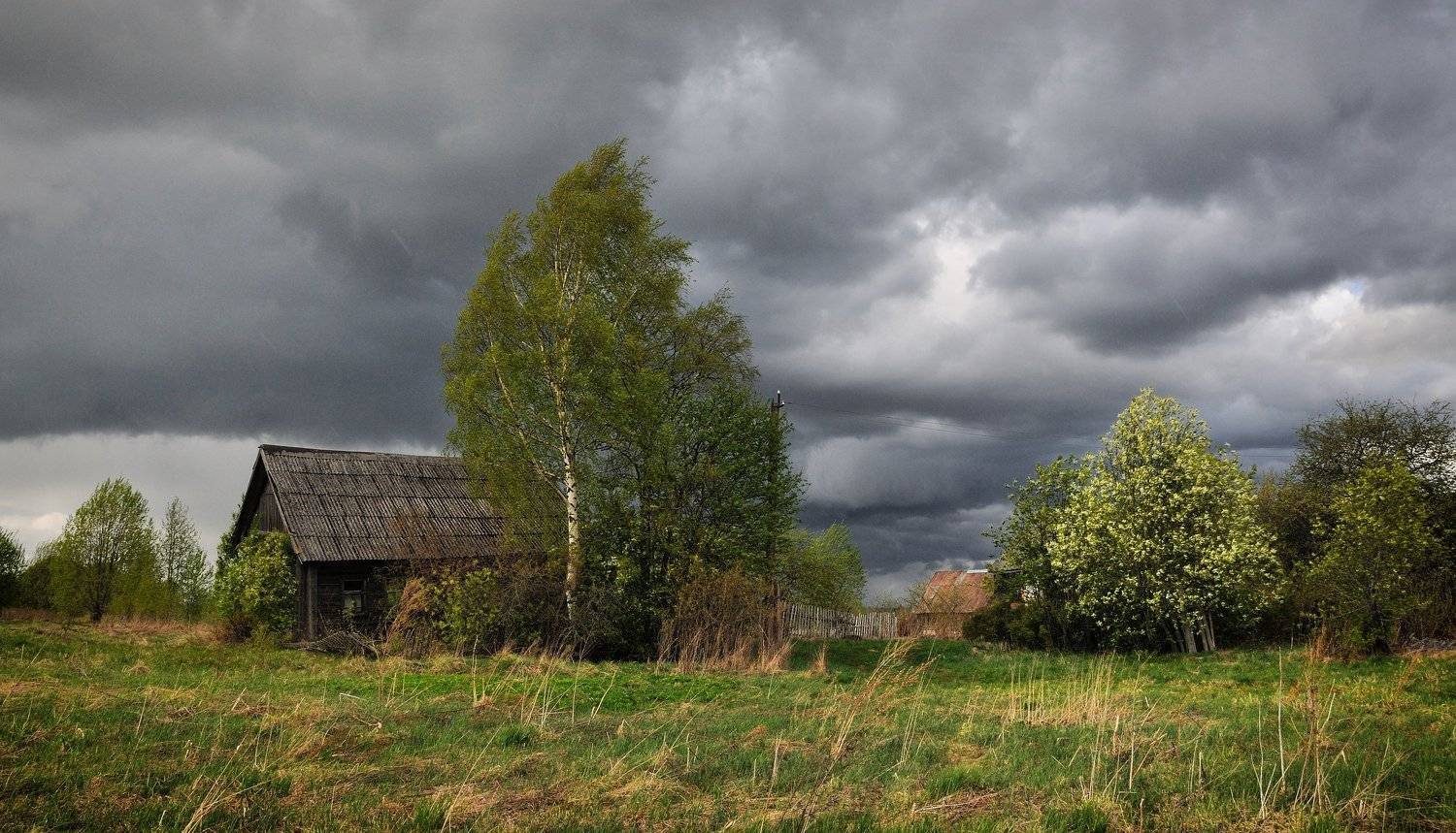 , Андрей Куликов