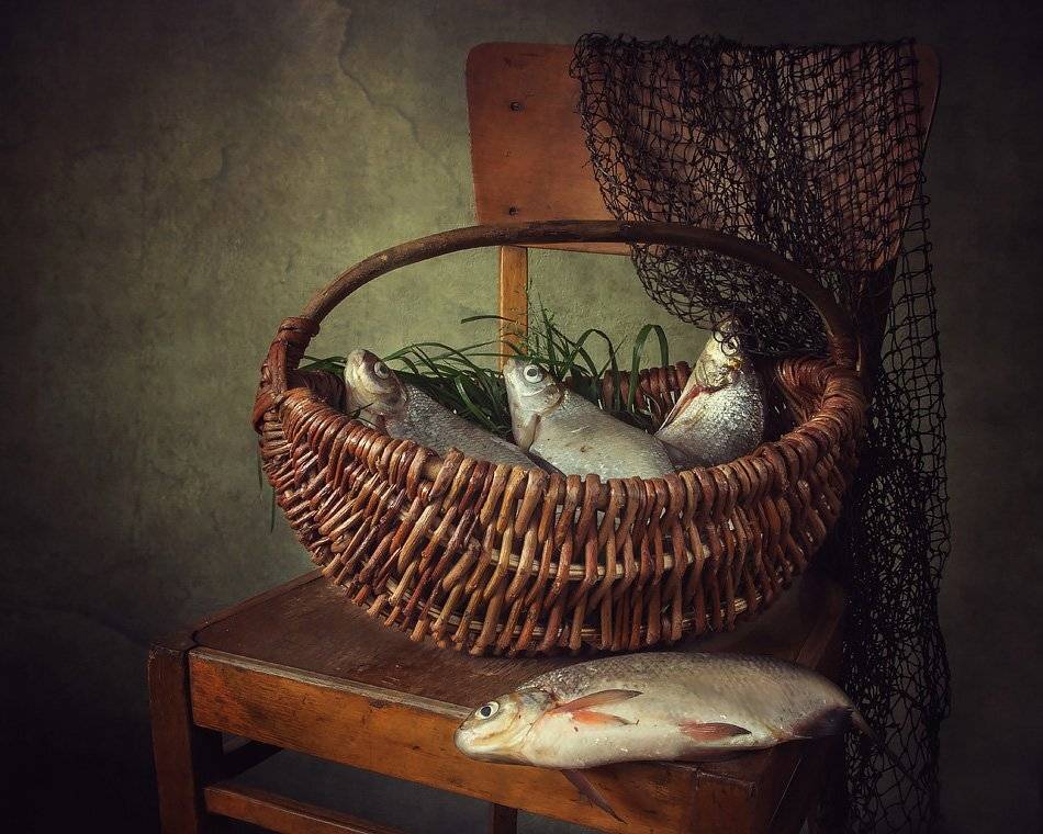 натюрморт, корзина, рыба, сеть, стул, Ирина Приходько