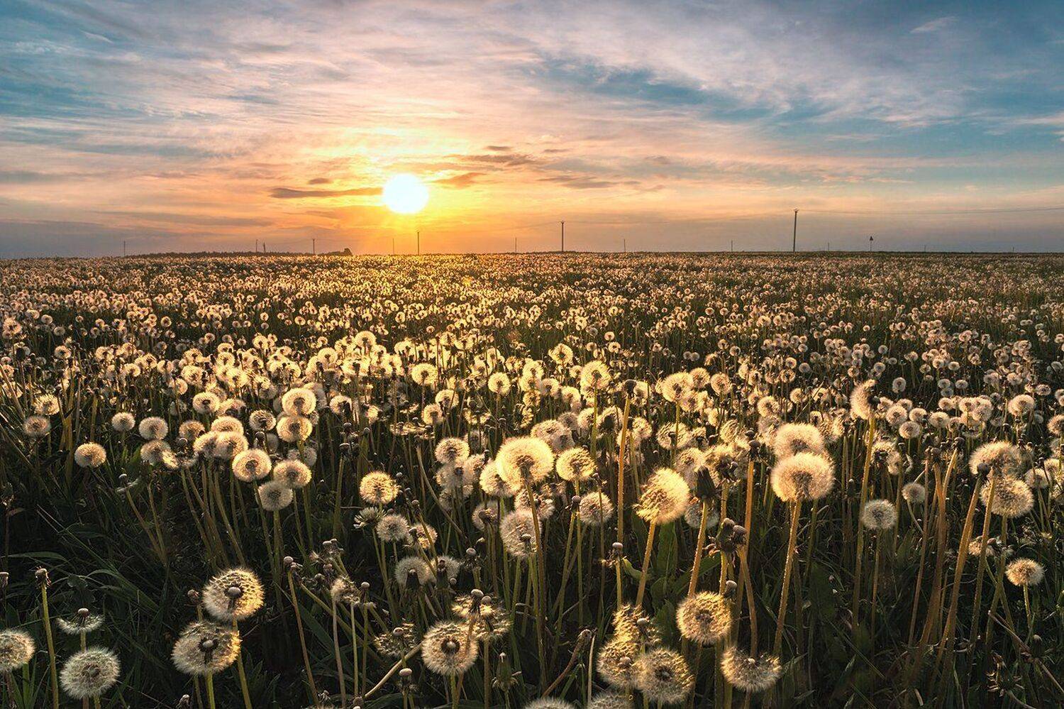 , Михаил Туркеев