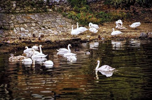 Пражские зарисовки