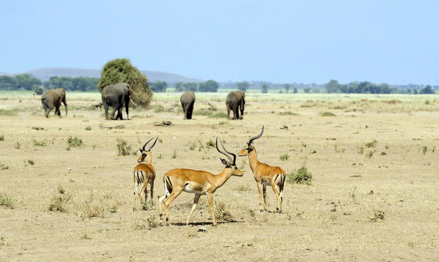 , Марина Мудрова