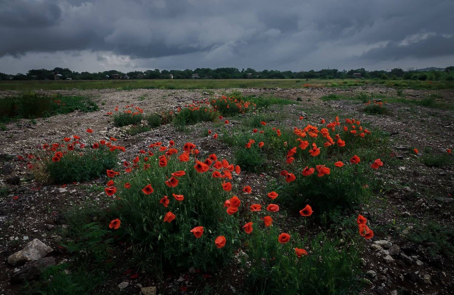 , Анатолий Щербак