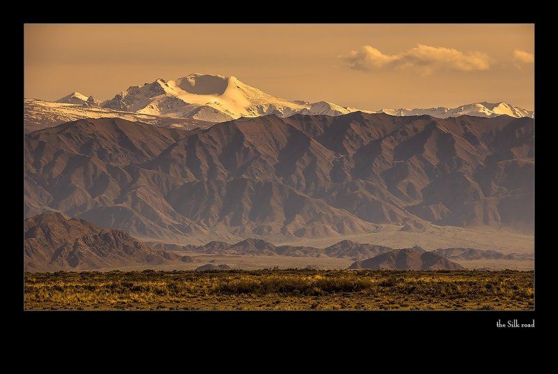 взволнованные размышления о переносе масс фото превью