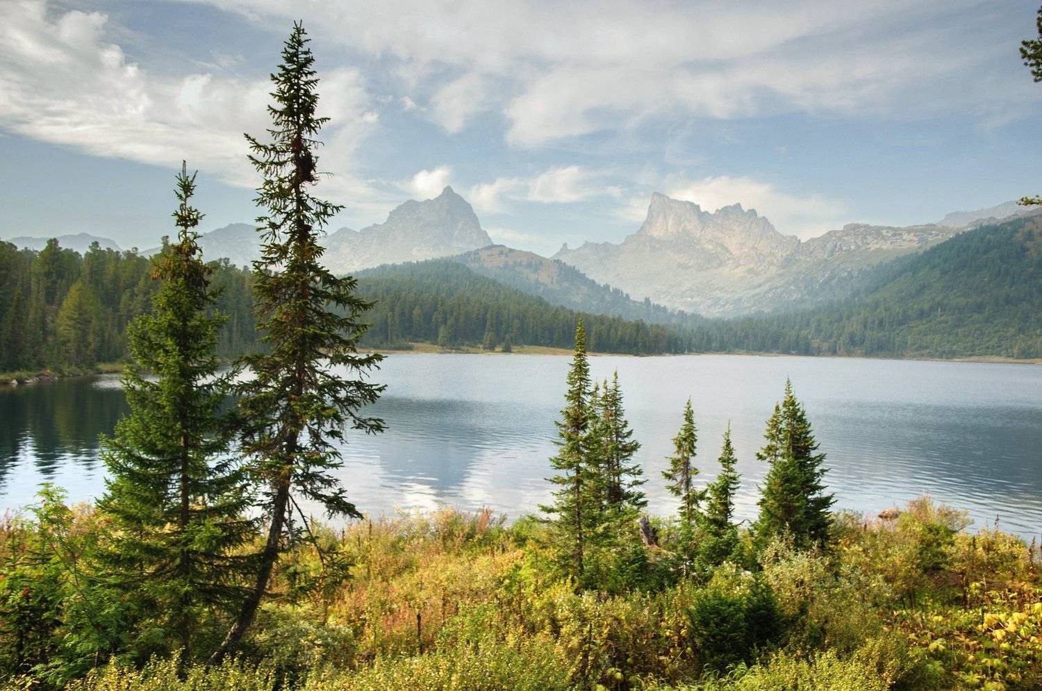 , Алексей Кретов