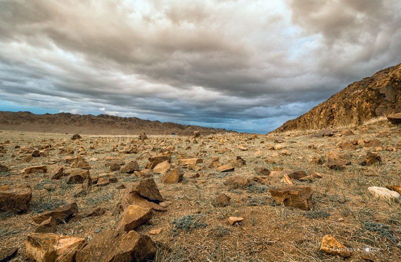 Монголия Бесчеловечный мир Монголии фото превью