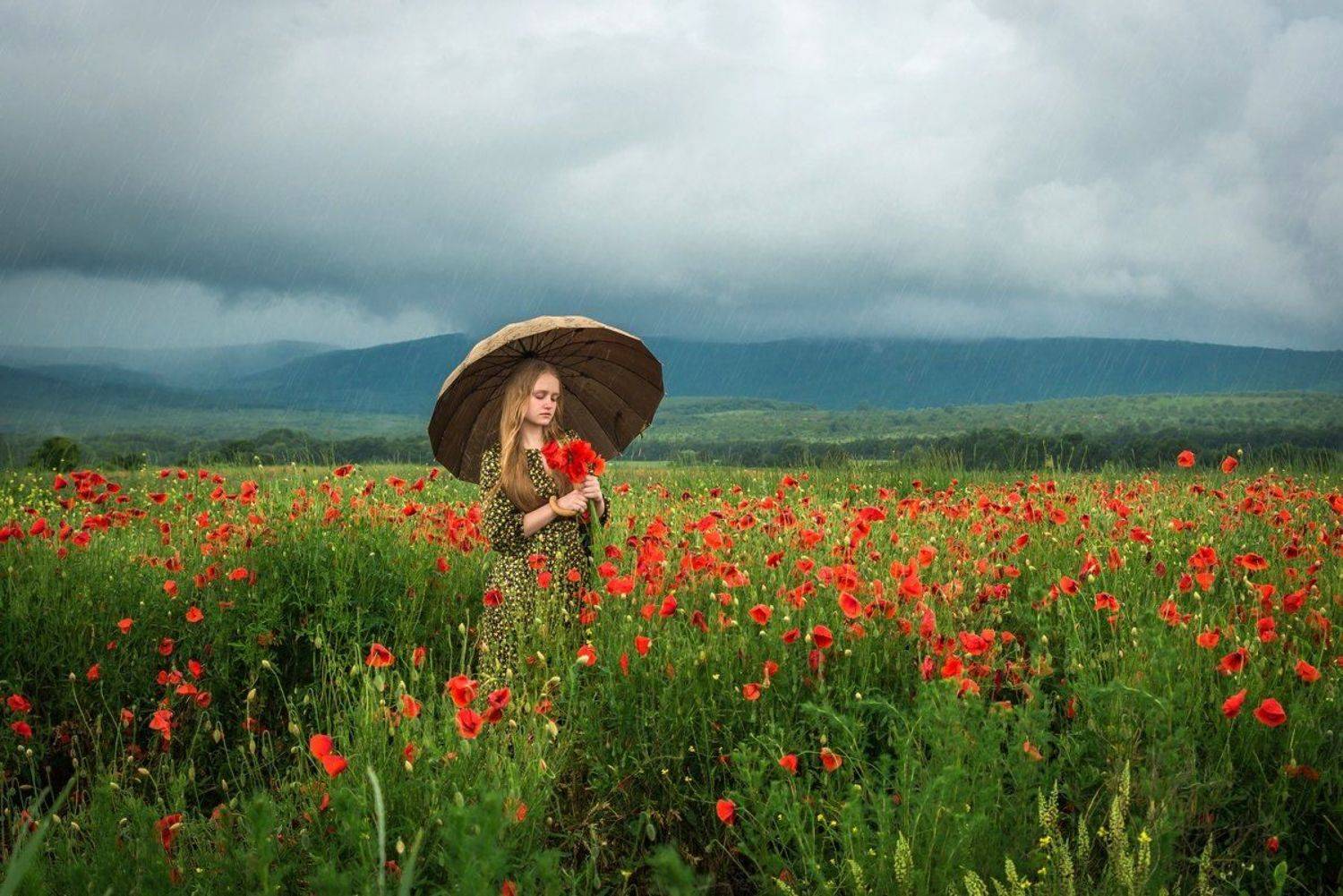 , Алексей Яковлев