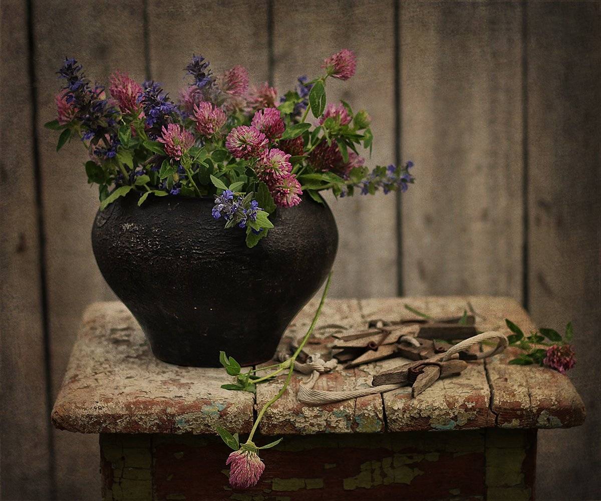 Клевер, Прищепки, Цветы, Чугунок, Инна Сухова