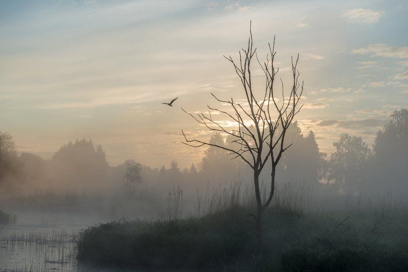 Утро на Истре фото превью