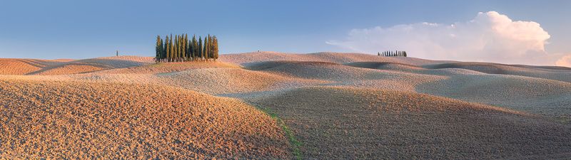 Мягкие холмы Torrenieri фото превью