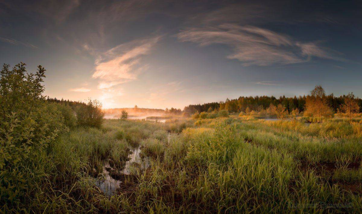 , Хохряков Николай