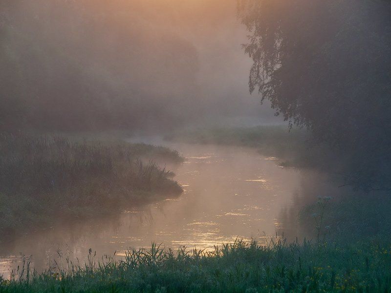 Мгновения июньского утра фото превью