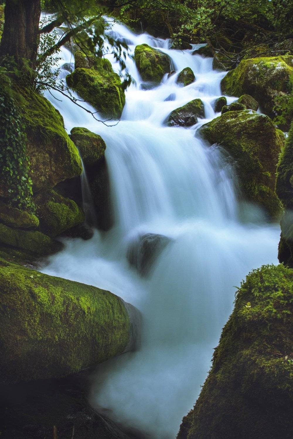 , Mindia Charkseliani