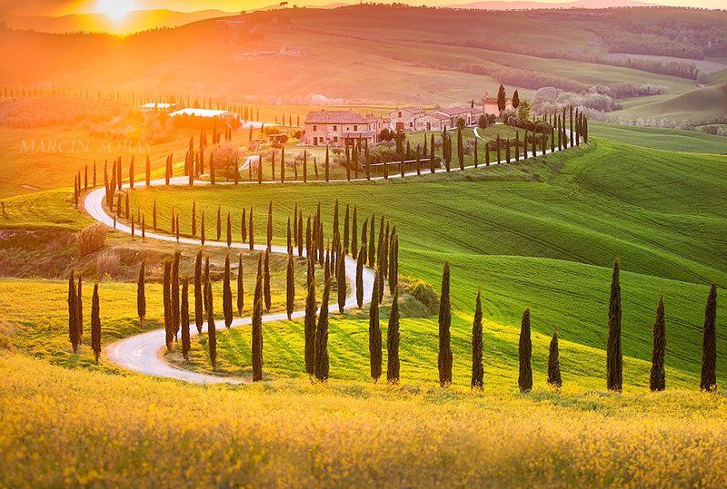 Evening Baccoleno фото превью