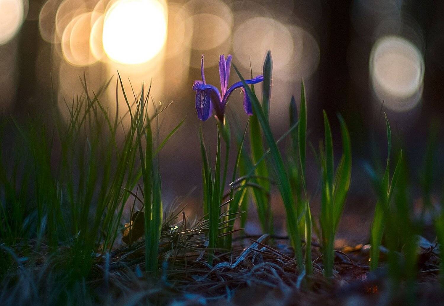 , Сергей Брагин