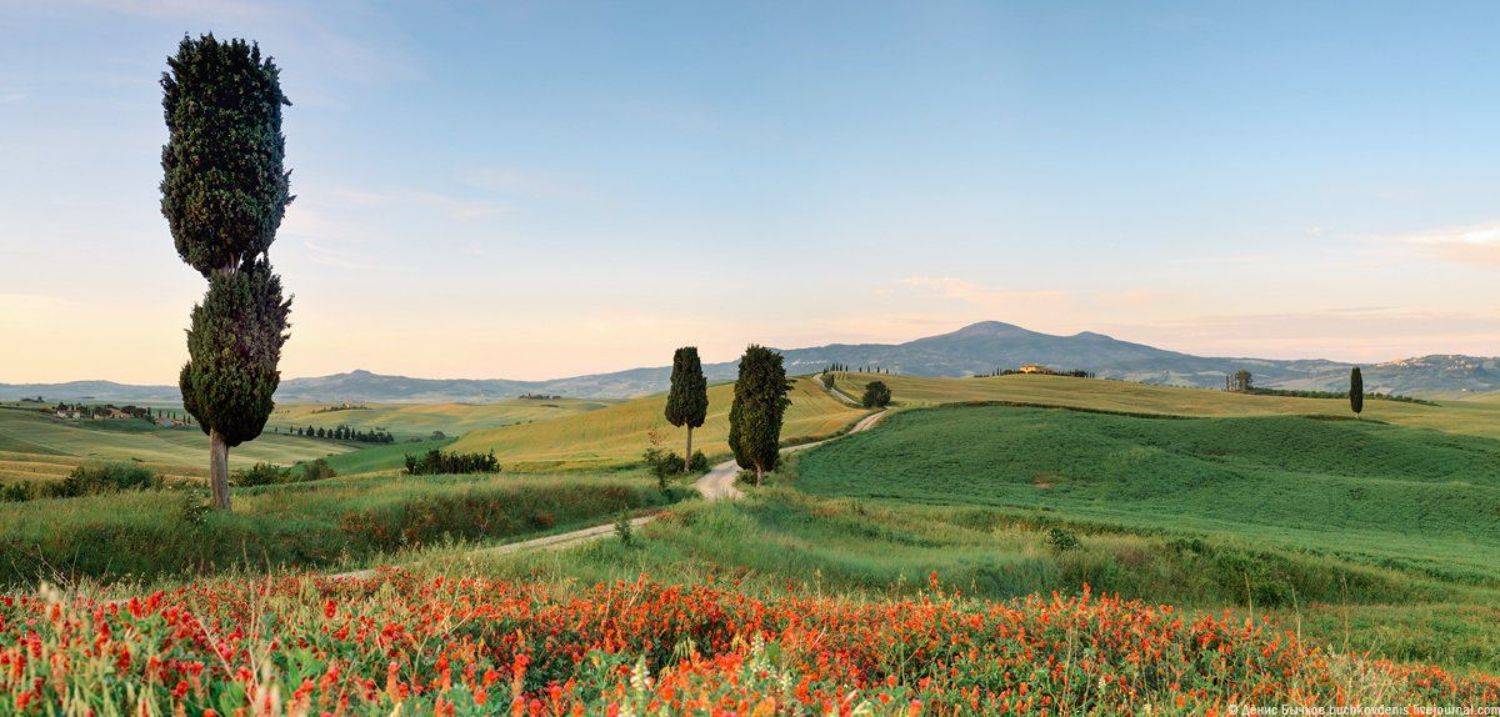 italy, tuscany, nature, landscape, Бычков Денис