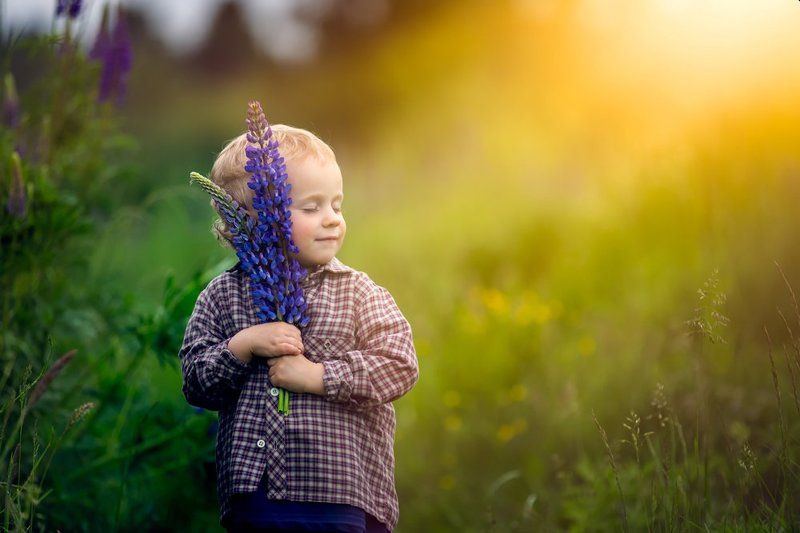 child, children, portrait, boy, nature, grass, meadow, flowers, sun Lupinus фото превью