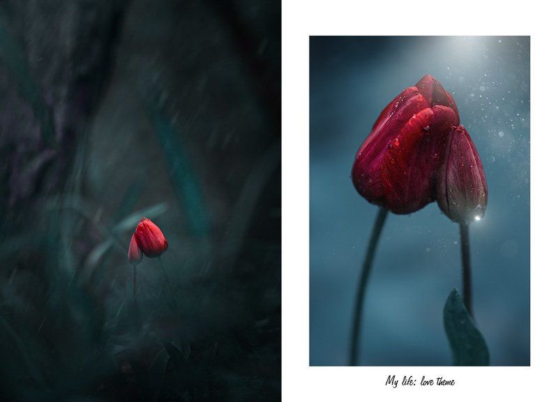 My life: love theme фото превью
