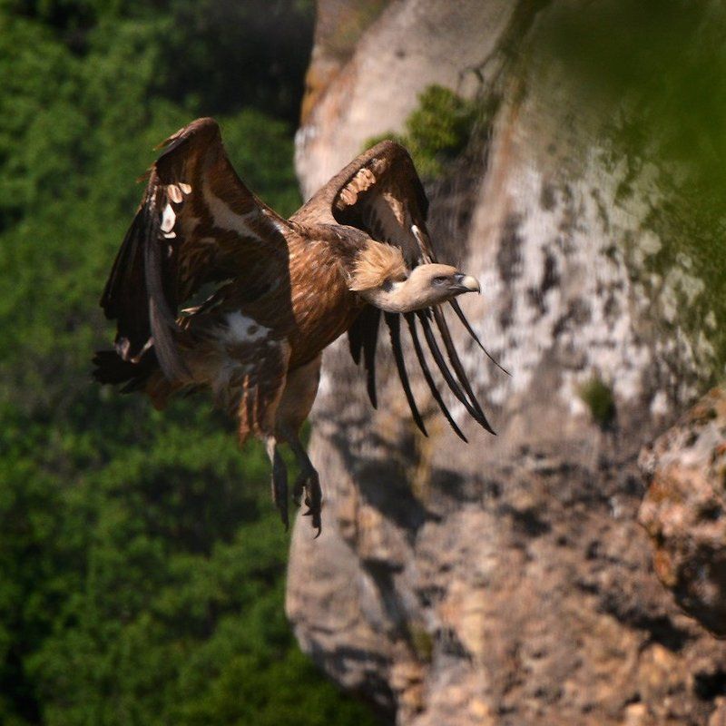 Мастер левитации :) фото превью