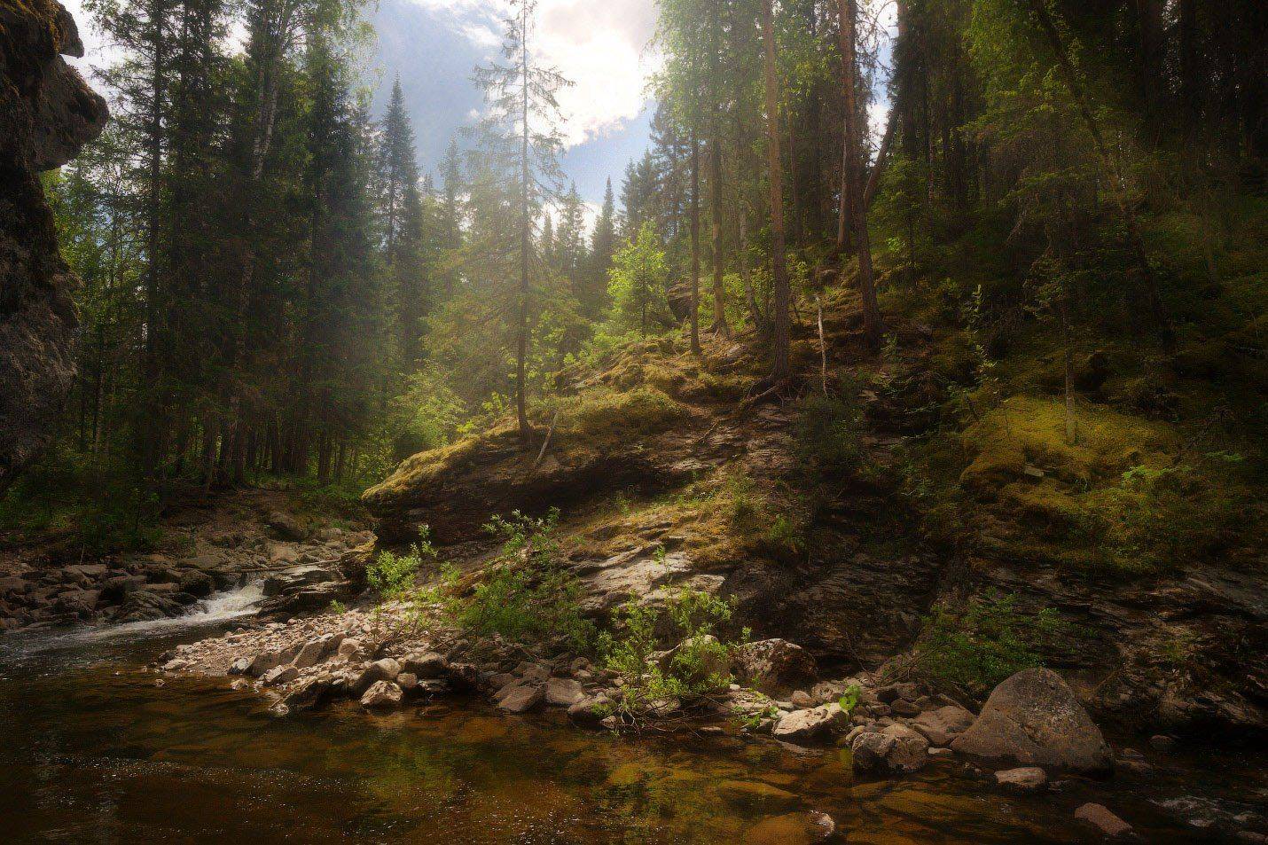 , Владимир Ляпин